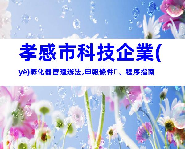 孝感市科技企業(yè)孵化器管理辦法,申報條件、程序指南